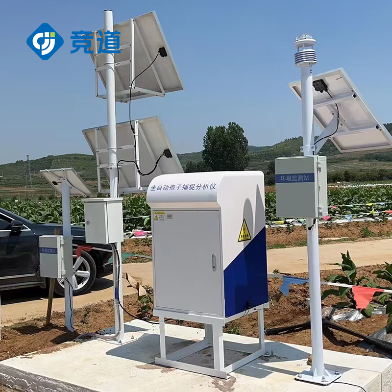 1692780980409469.jpg 7.jpg